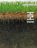 Aeration - What About Thatch?