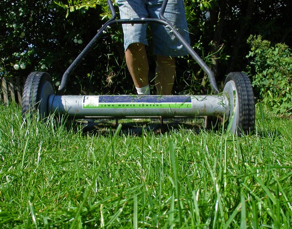 Proper Lawn Mowing Tips