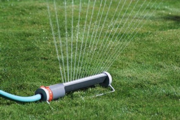 Lawn Care Watering Tips from Turf King